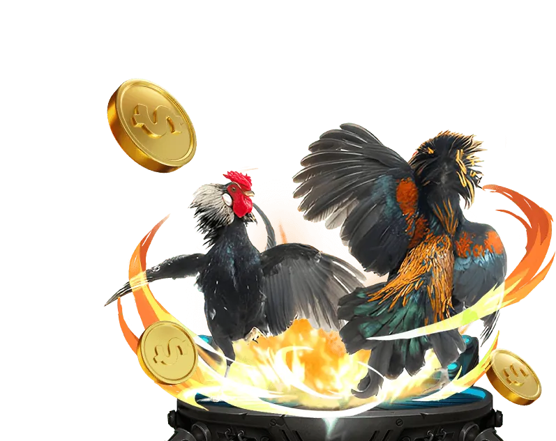 Bảo mật tài khoản và quản lý thông tin tại đá gà trực tiếp thomo 24/7