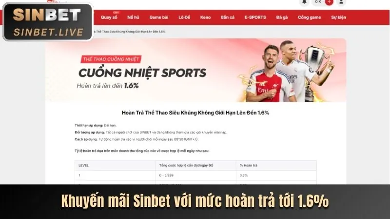 Kiến thức cơ bản về cá cược thể thao